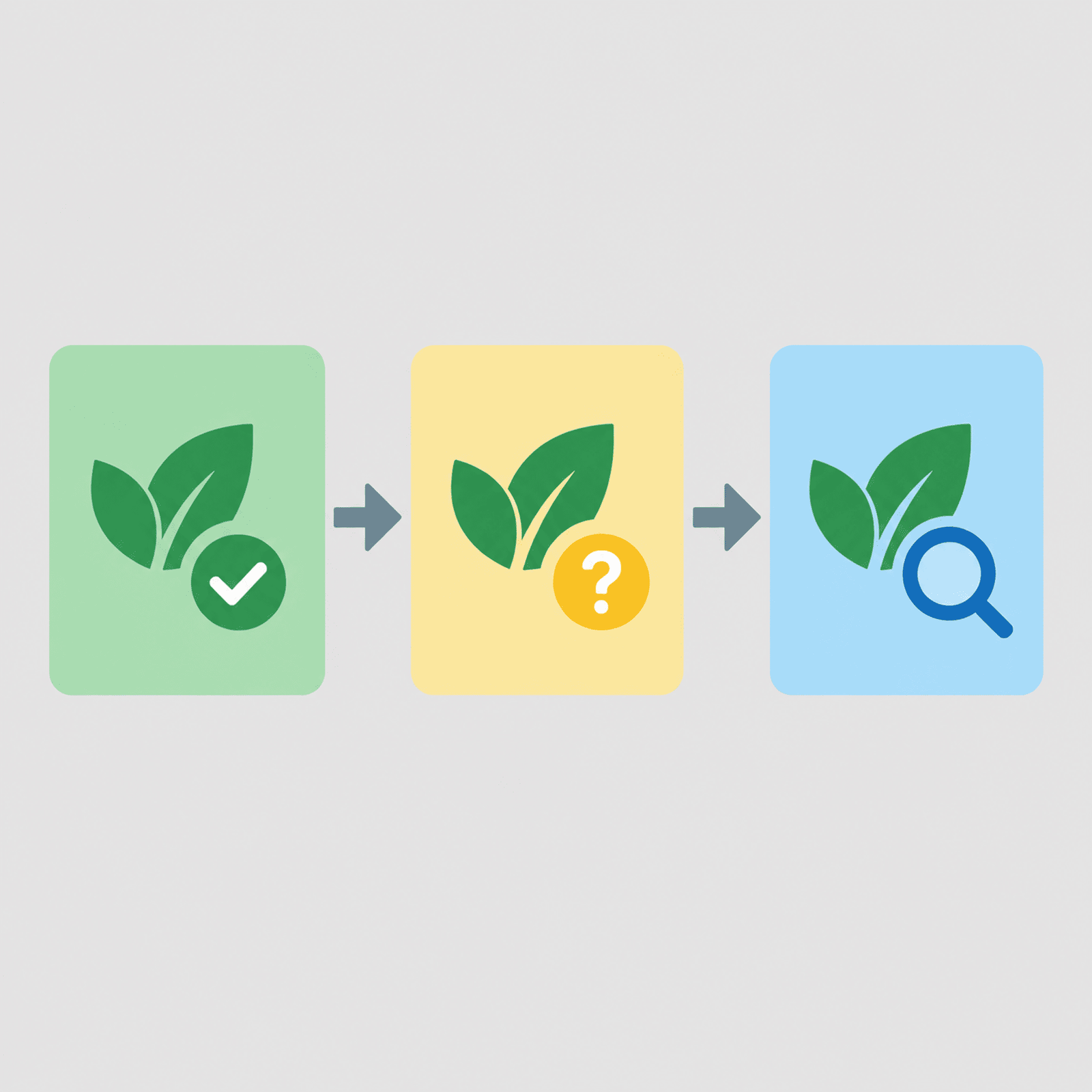 Realistic Packaging Innovation Roadmap: Now, Next, and Later packaging innovation roadmap for brands